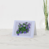 Voilets Kaart (Voorkant)