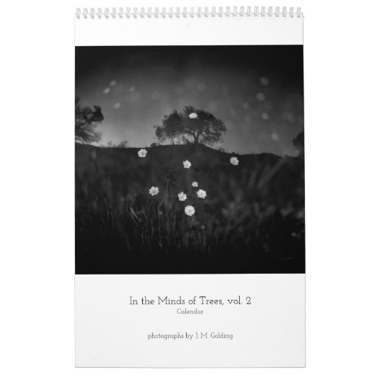 vol. 2 kalender in the Minds of Trees (Hoes)