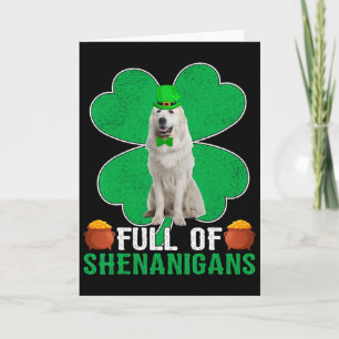 Vol Iers Irish Great Pyrenees Hond St Pa Kaart