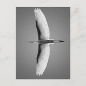 Vol oiseau kleines ailes briefkaart (Voorkant)