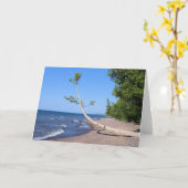 Vol overgave Zoekend - het Wenskaart van het Kaart (Gele Bloem)