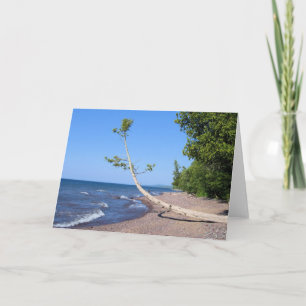 Vol overgave Zoekend - het Wenskaart van het Kaart