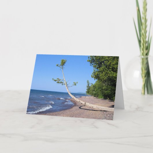 Vol overgave Zoekend - het Wenskaart van het Kaart (Voorkant)