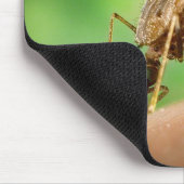 Vol van Bloedmug Bloedzuigende Insecten Muismat (Hoek)