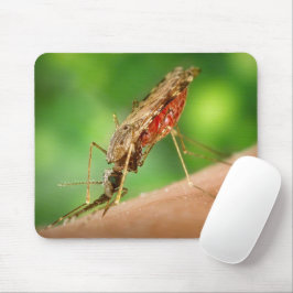 Vol van Bloedmug Bloedzuigende Insecten Muismat