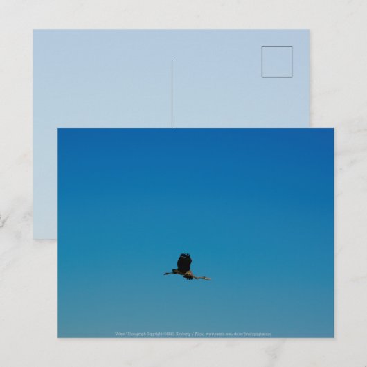 Volant Briefkaart (Voorkant / Achterkant)