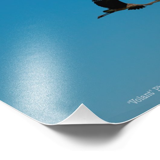 Volant Foto Afdruk (Hoek)