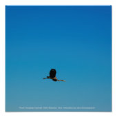 Volant Foto Afdruk (Voorkant)