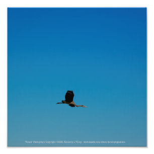 Volant Foto Afdruk