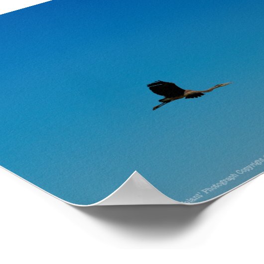 Volant Poster (Hoek)