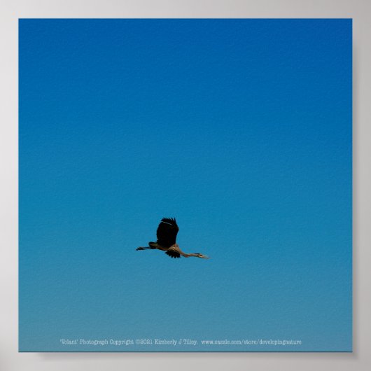 Volant Poster (Voorkant)