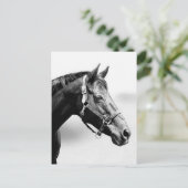 volbloed briefkaart (Staand voorkant)