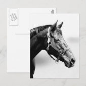 volbloed briefkaart (Voorkant / Achterkant)