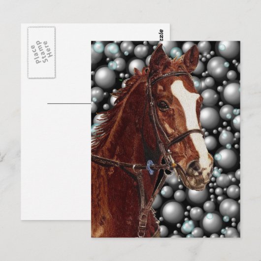 Volbloed & Bubbels Art Briefkaart (Voorkant / Achterkant)