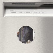 Volbloed Friese Kruismagneet Magneet (Insitu (Vaatwasser))