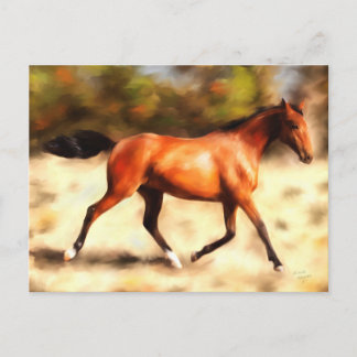Volbloed Geest Paard Kunst Briefkaart