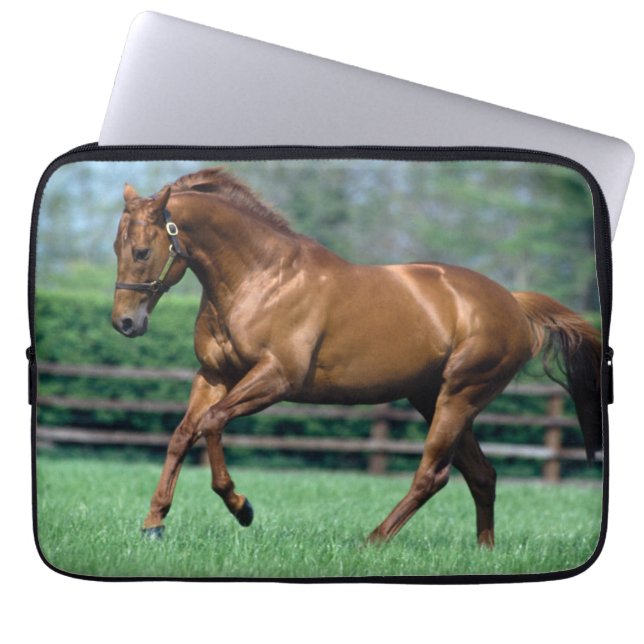 Volbloed hengst, Ierland Laptop Sleeve (Voorkant)