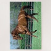 Volbloed hengst, Ierland Legpuzzel (Verticaal)