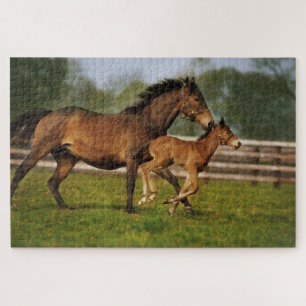 Volbloed Kastanje Merrie & Veulen Legpuzzel