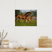 Volbloed Kastanje Merrie & Veulen Poster (Keuken)