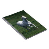 Volbloed Merrie Notitieboek (Rechterzijde)