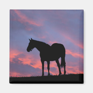 Volbloed paard afgetekend tegen de opkomende zon magneet