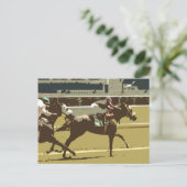 volbloed paard briefkaart (Staand voorkant)