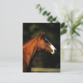 Volbloed- Paard Headshot Briefkaart (Staand voorkant)