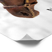 Volbloed Paard - Nano Man - Attitude Poster (Hoek)