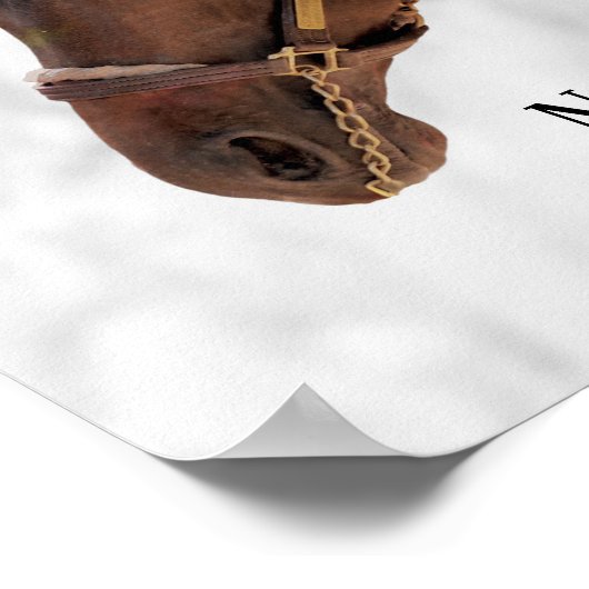 Volbloed Paard - Nano Man - Attitude Poster (Hoek)