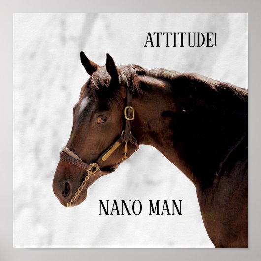 Volbloed Paard - Nano Man - Attitude Poster (Voorkant)