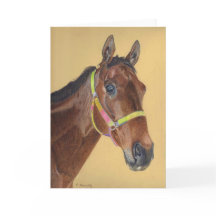 Volbloed Paard Wenskaart