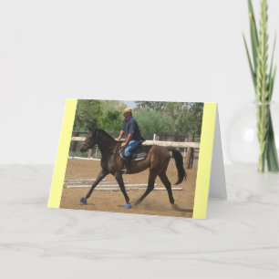 Volbloed Rehab - Western & Equine Blank Kaart