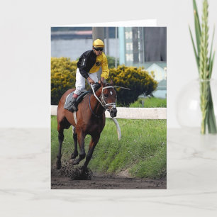 Volbloed renpaard Blank Wenskaart Kaart