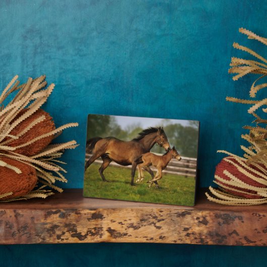 Volbloed Roskastanjebruine Merrie en Veulen Fotoplaat (Zijkant)