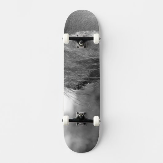 volbloed skateboard (Voorkant)