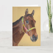 volbloed Wenskaart Feestdagen Kaart (Voorkant)