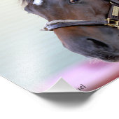 Volbloedpaard - Nano Man Foto Afdruk (Hoek)