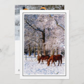 Volbloedpaarden in de sneeuw feestdagenkaart (Voorkant / Achterkant)