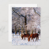 Volbloedpaarden in de sneeuw feestdagenkaart (Voorkant / Achterkant)