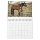 Volbloedpaarden liefhebbers 12 maanden kalender (Mar 2026)