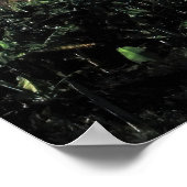 Volcan Concepcion Poster (Hoek)