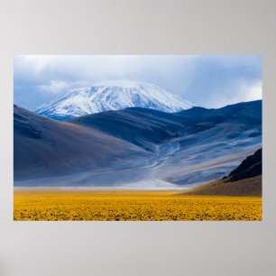 Volcano Incahuasi, Argentinië Poster