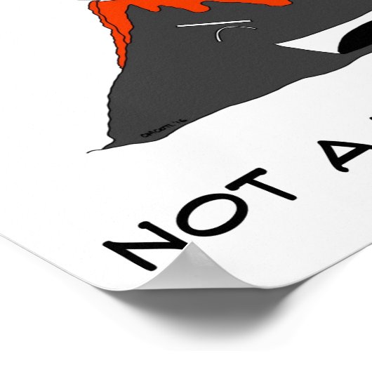 VolCANo Poster (Hoek)