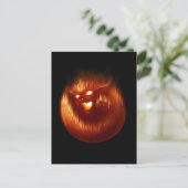 Volcanokitten-Briefkaart Briefkaart (Staand voorkant)