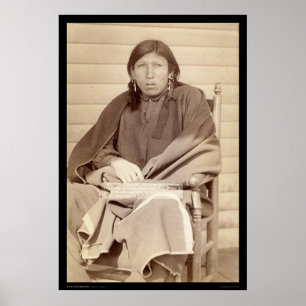 Voldoende paarden, laag van luitenant Casey SD 189 Poster