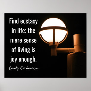 Voldoende Vreugde -- citaat van Emily Dickinson -  Poster