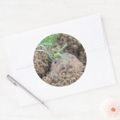 Vole Creature Briefkaart Ronde Sticker (Envelop)