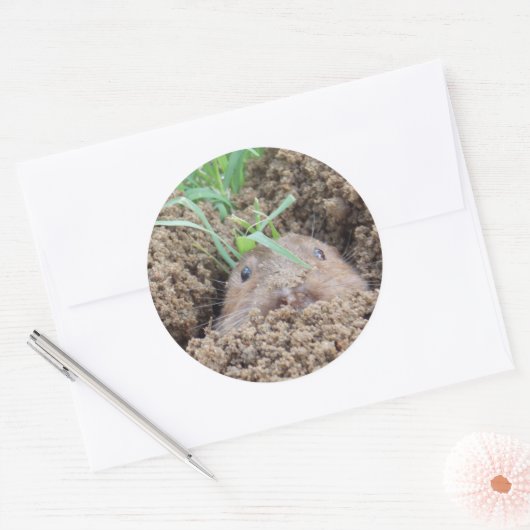 Vole Creature Briefkaart Ronde Sticker (Envelop)
