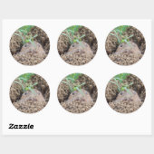 Vole Creature Briefkaart Ronde Sticker (Vel)